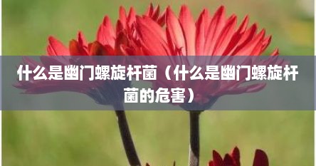 什么是幽门螺旋杆菌（什么是幽门螺旋杆菌的危害）