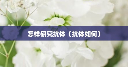 怎样研究抗体（抗体如何）
