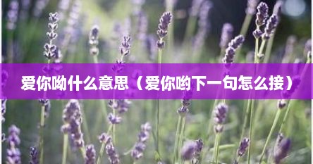 爱你呦什么意思（爱你哟下一句怎么接）