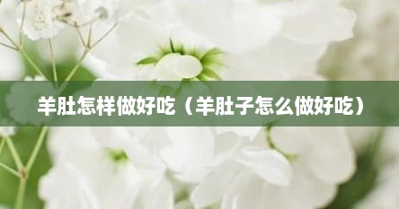 羊肚怎样做好吃（羊肚子怎么做好吃）