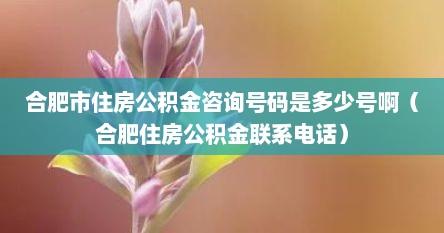 合肥市住房公积金咨询号码是多少号啊（合肥住房公积金联系电话）