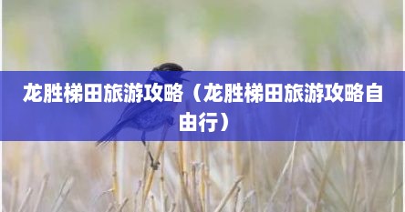 龙胜梯田旅游攻略（龙胜梯田旅游攻略自由行）