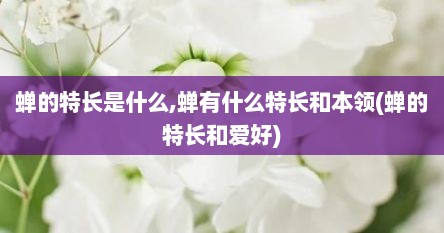 蝉的特长是什么,蝉有什么特长和本领(蝉的特长和爱好)