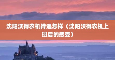 沈阳沃得农机待遇怎样（沈阳沃得农机上班后的感受）