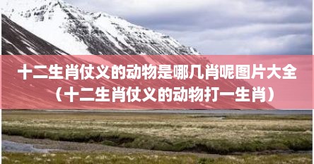 十二生肖仗义的动物是哪几肖呢图片大全（十二生肖仗义的动物打一生肖）