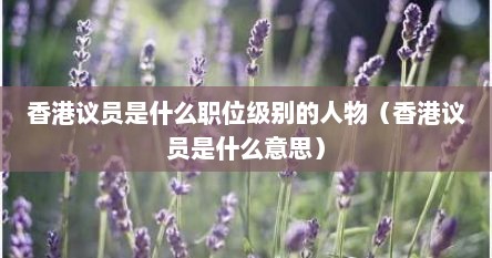 香港议员是什么职位级别的人物（香港议员是什么意思）