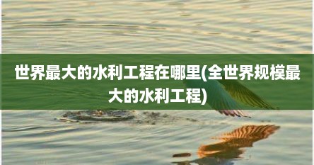 世界最大的水利工程在哪里(全世界规模最大的水利工程)