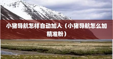 小猪导航怎样自动加人（小猪导航怎么加精准粉）