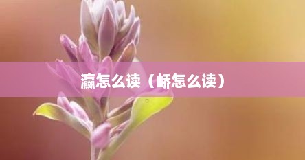 瀛白话怎么读（这个字瀛念什么）