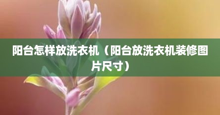 阳台怎样放洗衣机（阳台放洗衣机装修图片尺寸）
