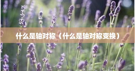 什么是轴对称（什么是轴对称变换）