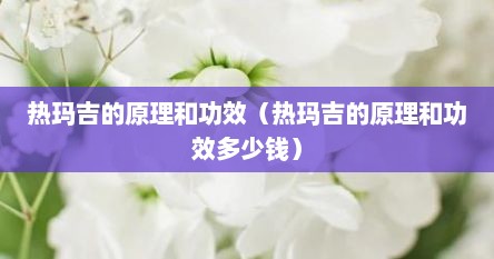 热玛吉的原理和功效（热玛吉的原理和功效多少钱）
