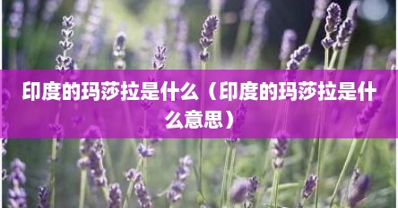 印度玛莎拉到底是个什么东西(印度玛莎拉到底是什么东西) 印度玛莎拉到底是个什么东西(印度玛莎拉到底是什么东西)