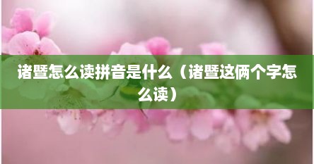 诸暨怎么读拼音是什么（诸暨这俩个字怎么读）