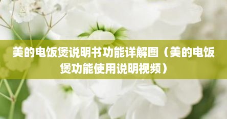 美的电饭煲说明书功能详解图（美的电饭煲功能使用说明视频）