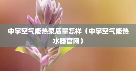 中宇空气能热泵质量怎样（中宇空气能热水器官网）