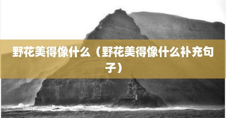 野花美得像什么（野花美得像什么补充句子）