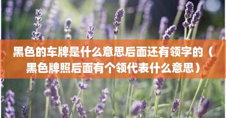 黑色的车牌是什么意思后面还有领字的（黑色牌照后面有个领代表什么意思）