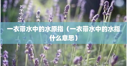 一衣带水中的水原指（一衣带水中的水指什么意思）