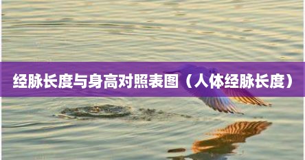 经脉长度与身高对照表图（人体经脉长度）