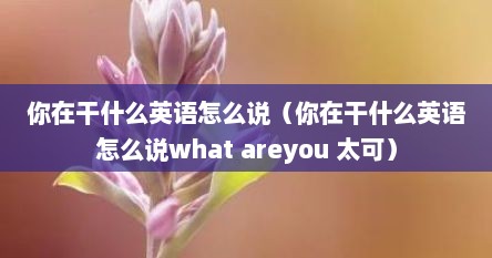 你在干什么英语怎么说（你在干什么英语怎么说what areyou 太可）