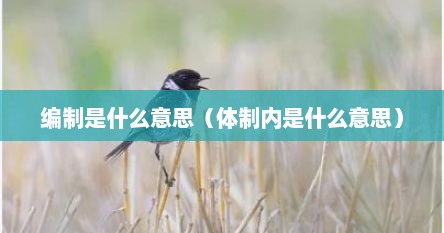 编制是什么意思（体制内是什么意思）