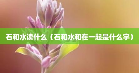 石和水读什么（石和水和在一起是什么字）