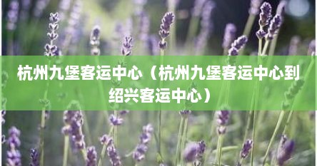 杭州九堡客运中心（杭州九堡客运中心到绍兴客运中心）