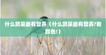 什么蔬菜最有营养（什么蔬菜最有营养?看颜色!）