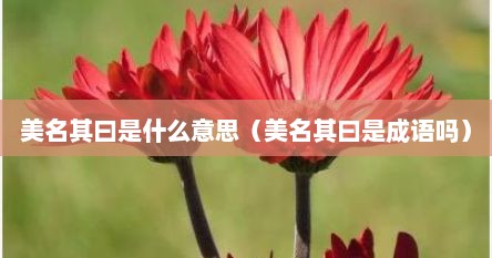 美名其曰是什么意思（美名其曰是成语吗）