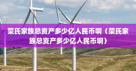 荣氏家族总资产多少亿人民币啊（荣氏家族总资产多少亿人民币啊）