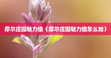 摩尔庄园魅力值（摩尔庄园魅力值怎么加）