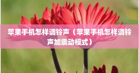 苹果手机怎样调铃声（苹果手机怎样调铃声加震动模式）