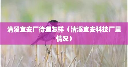 清溪宜安厂待遇怎样（清溪宜安科技厂里情况）