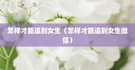 怎样才能追到女生（怎样才能追到女生微信）