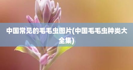 中国常见的毛毛虫图片(中国毛毛虫种类大全集)