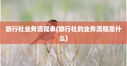旅行社业务流程表(旅行社的业务流程是什么)