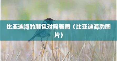 比亚迪海豹颜色对照表图（比亚迪海豹图片）