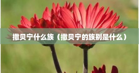 撒贝宁什么族（撒贝宁的族别是什么）