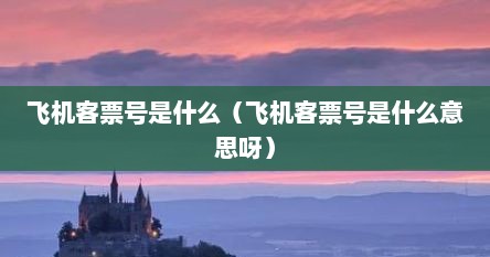 飞机客票号是什么（飞机客票号是什么意思呀）