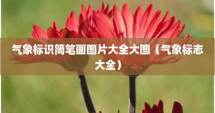 气象标识简笔画图片大全大图（气象标志大全）