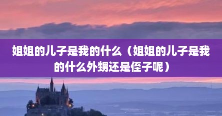 姐姐的儿子是我的什么（姐姐的儿子是我的什么外甥还是侄子呢）