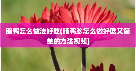 腊鸭怎么做法好吃(腊鸭胗怎么做好吃又简单的方法视频)