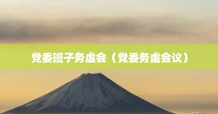 党委班子务虚会（党委务虚会议）