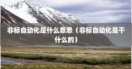 非标自动化是什么意思（非标自动化是干什么的）