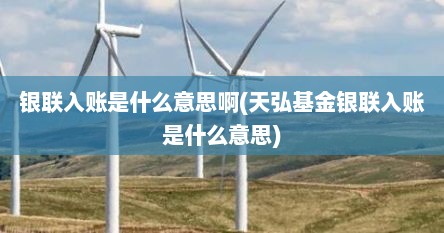 银联入账是什么意思啊(天弘基金银联入账是什么意思)
