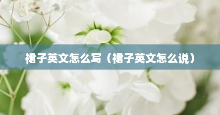 裙子英文怎么写（裙子英文怎么说）