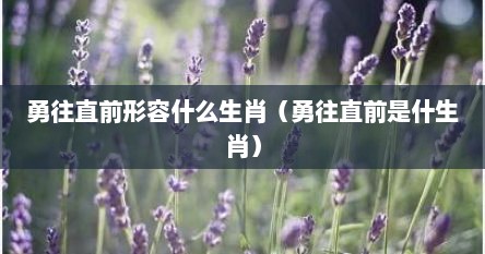 勇往直前形容什么生肖（勇往直前是什生肖）
