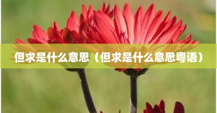 但求是什么意思（但求是什么意思粤语）