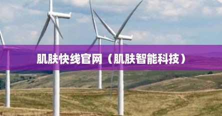 肌肤快线官网（肌肤智能科技）